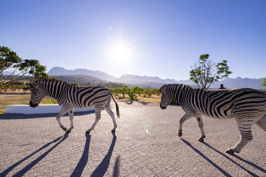 6 Bedroom Property for Sale in Klein Parys Western Cape